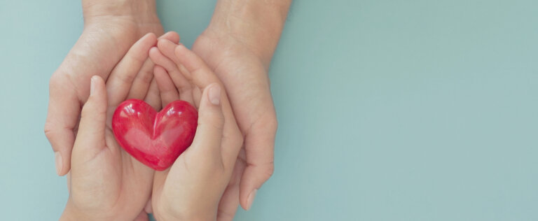 hands holding red heart, health care, love, organ donation, mindfulness, wellbeing, family insurance and CSR concept, world heart day, world health day, National Organ Donor Day