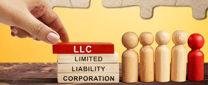 LLC and family limited partnership