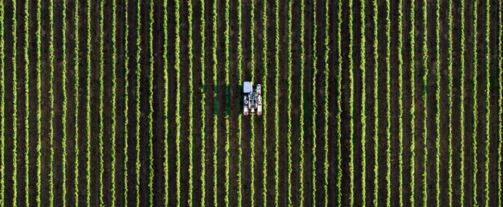 Agricultural harvesting in Wisconsin
