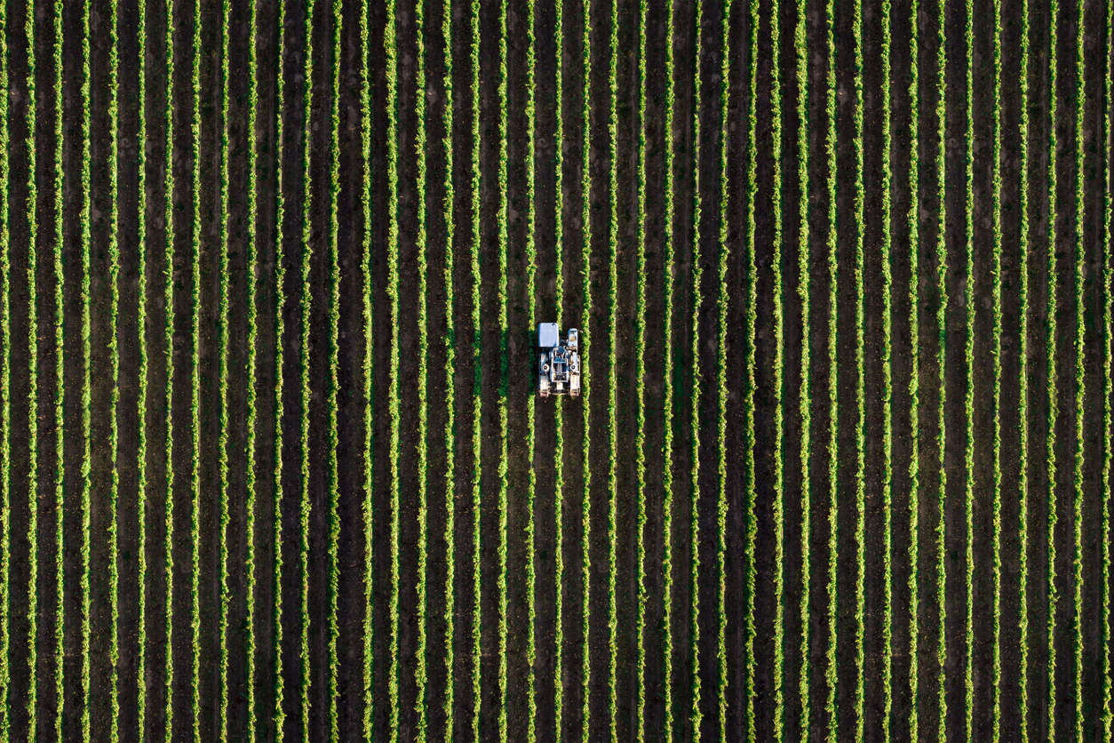 Agricultural harvesting in Wisconsin