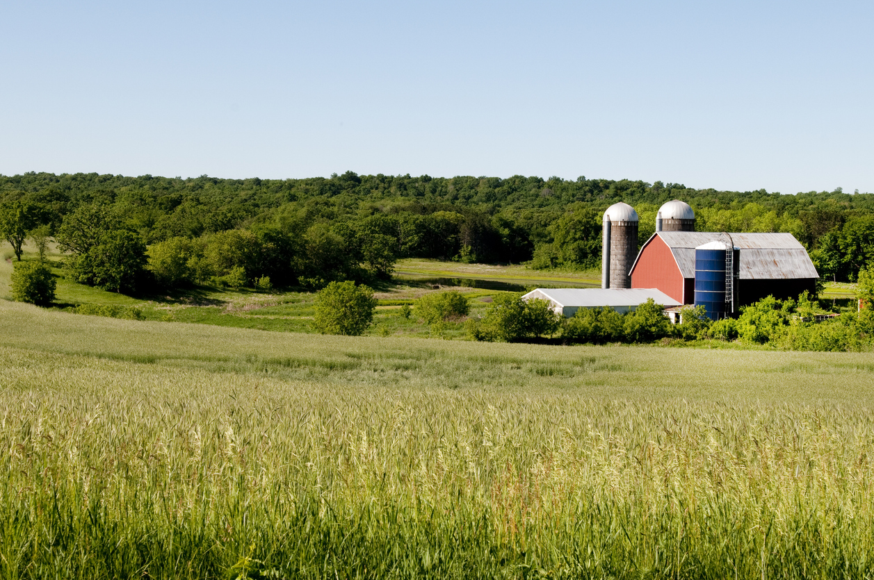 "A peaceful countryside scene with a red barn and two silos surrounded by green fields and trees under a clear blue sky."