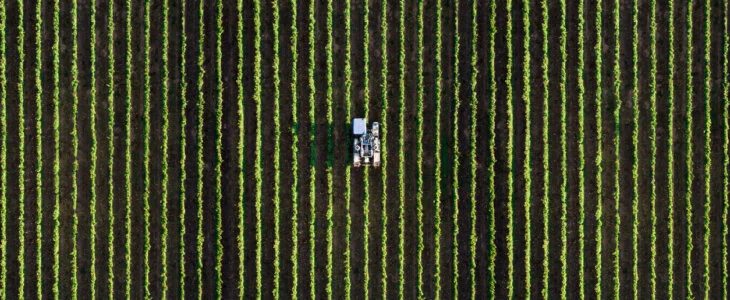 Agricultural harvesting in Wisconsin