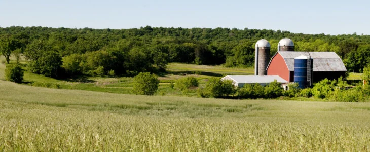 "A peaceful countryside scene with a red barn and two silos surrounded by green fields and trees under a clear blue sky."